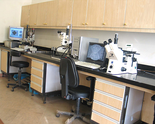 Laboratory-Img2 Laboratory-Img2